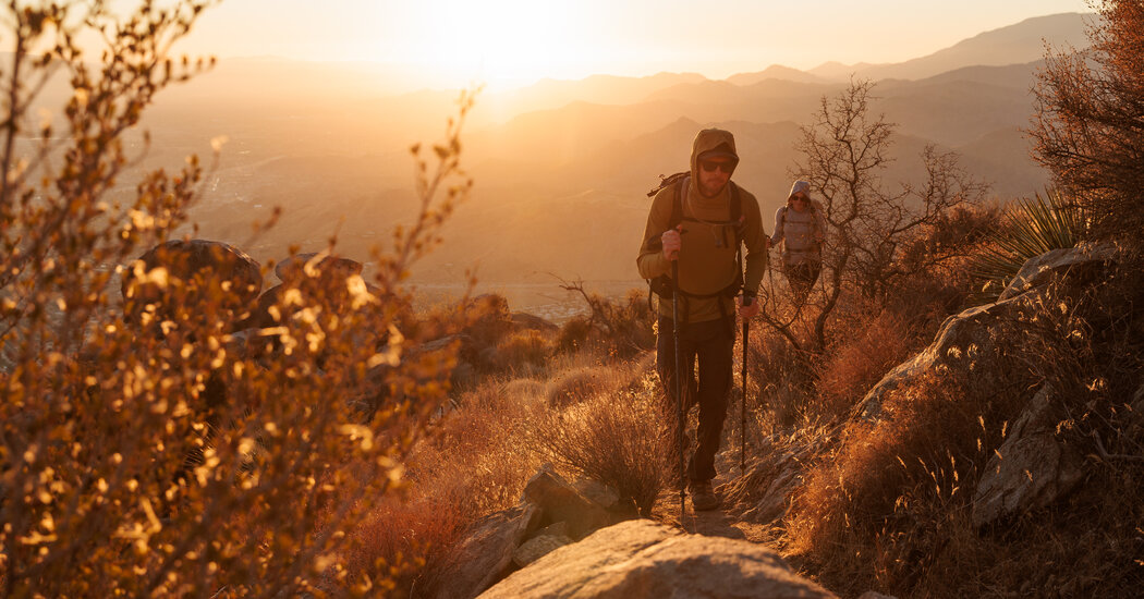 Cactus to Clouds: A Challenging and Scenic Hike