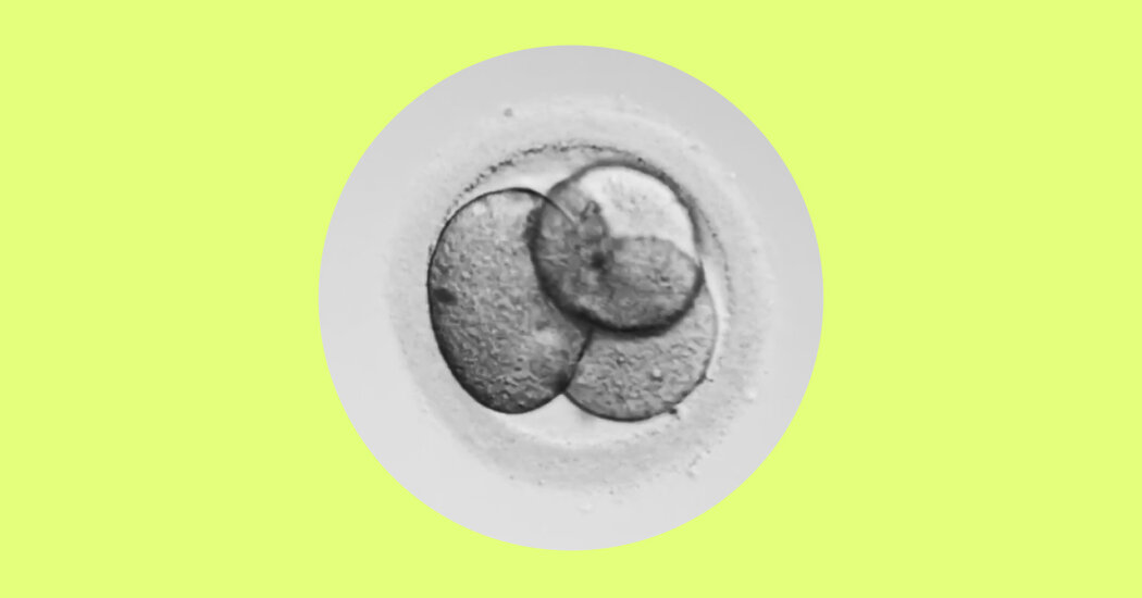 Embryos, Ethics, and the Future of Human Life