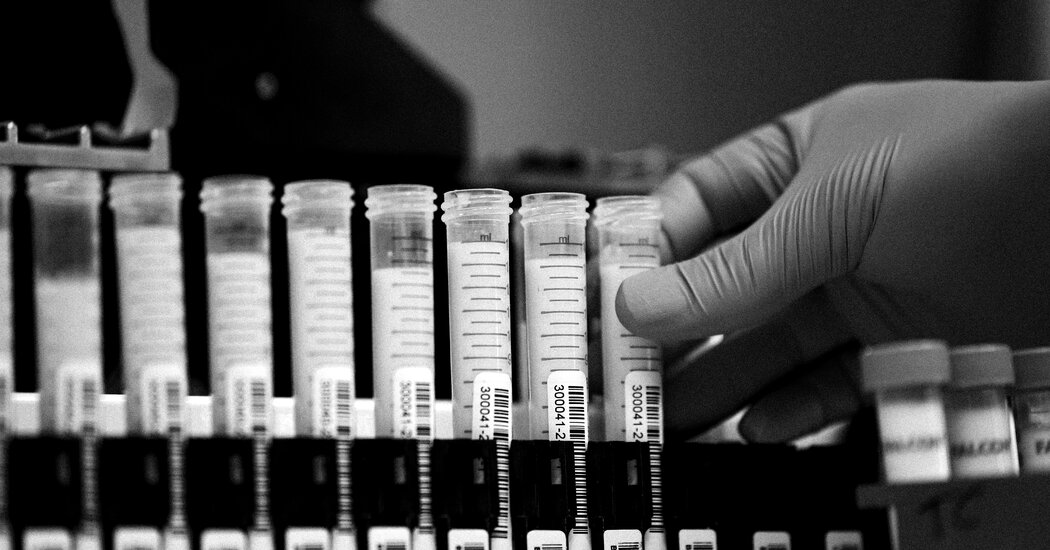 Emerging Bird Flu Threat in the United States