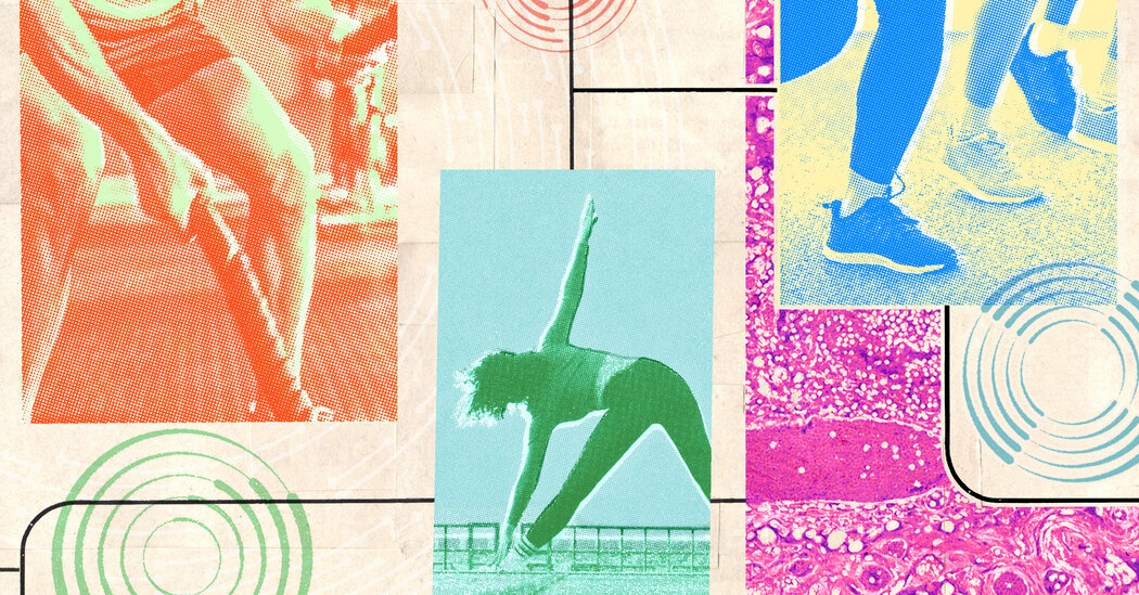 Exercise to Combat Chronic Inflammation