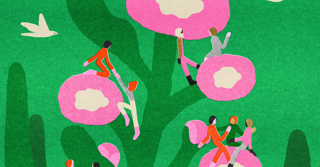 Building a Vibrant Social Biome